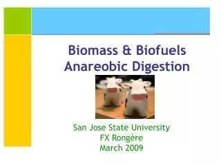 Biomass &amp; Biofuels Anareobic Digestion