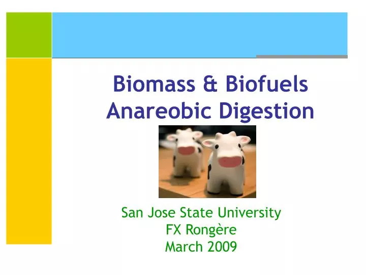 biomass biofuels anareobic digestion
