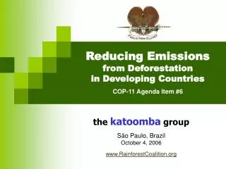 Reducing Emissions from Deforestation in Developing Countries COP-11 Agenda Item #6