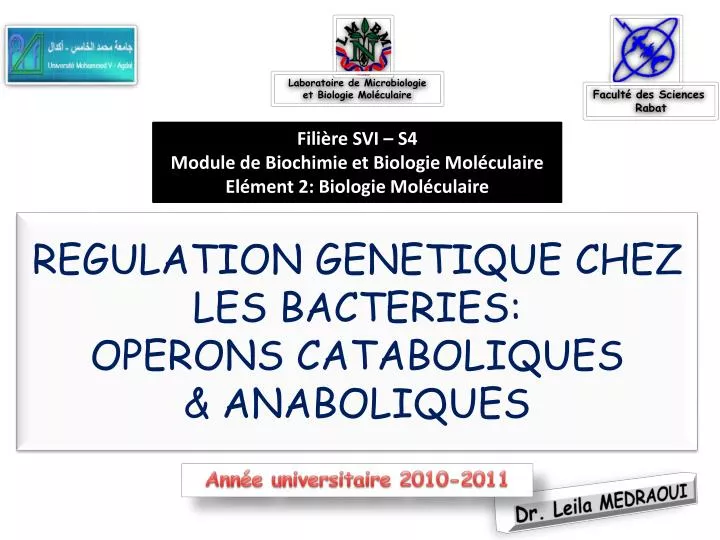 regulation genetique chez les bacteries operons cataboliques anaboliques