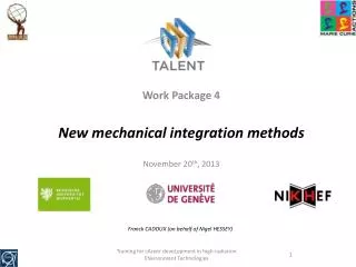 Work Package 4 New mechanical integration methods November 20 th , 2013