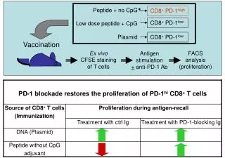 Peptide + no CpG Low dose peptide + CpG Plasmid