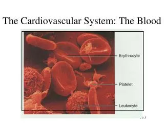 The Cardiovascular System: The Blood