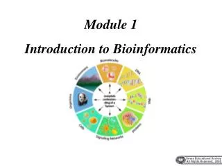 Module 1 Introduction to Bioinformatics