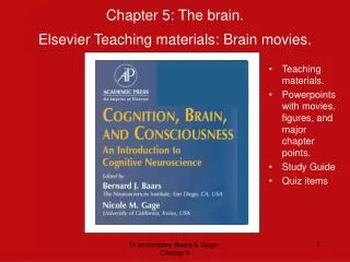 Chapter 5: The brain. Elsevier Teaching materials: Brain movies.