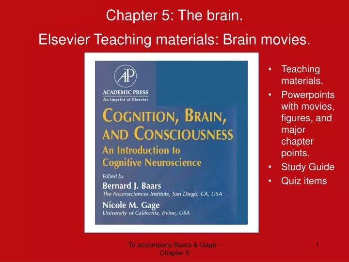 chapter 5 the brain elsevier teaching materials brain movies