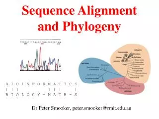 Sequence Alignment and Phylogeny