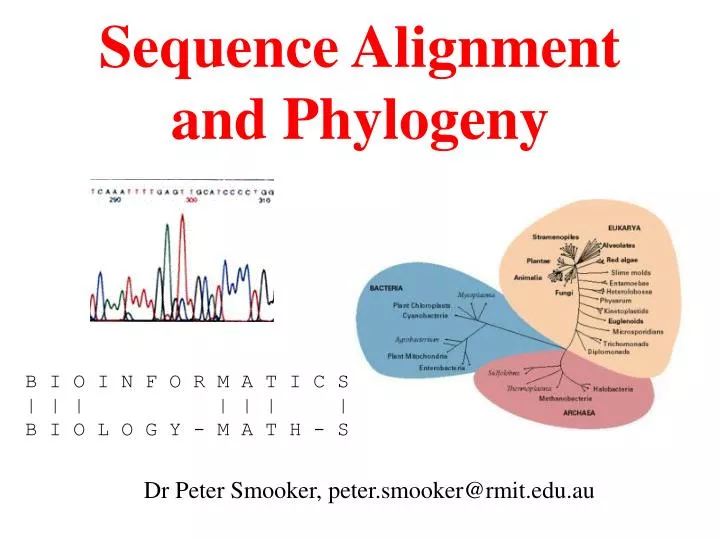 sequence alignment and phylogeny