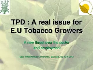 TPD : A real issue for E.U Tobacco Growers