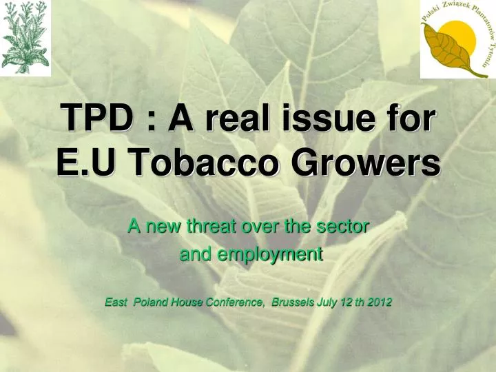 tpd a real issue for e u tobacco growers