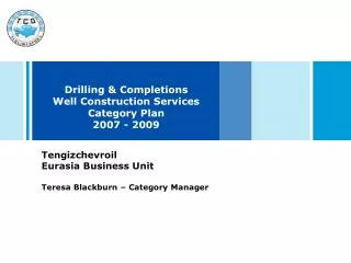 Drilling &amp; Completions Well Construction Services Category Plan 2007 - 2009