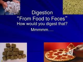 Digestion “ From Food to Feces ”
