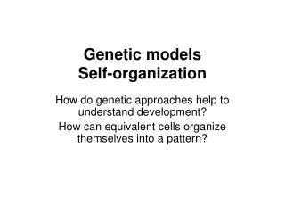 Genetic models Self-organization