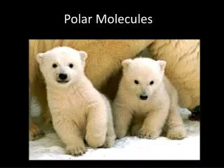 Polar Molecules