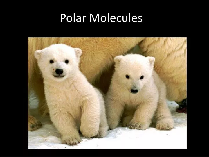 polar molecules