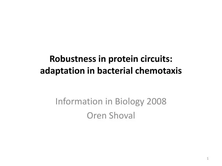 robustness in protein circuits adaptation in bacterial chemotaxis