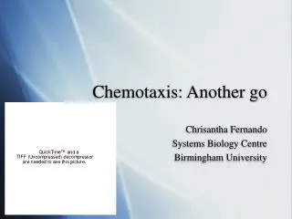 Chemotaxis: Another go