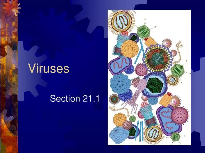 viruses
