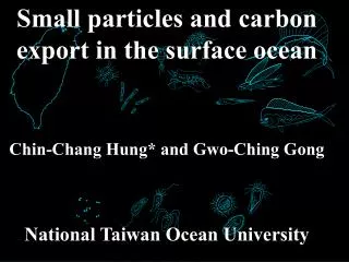 Small particles and carbon export in the surface ocean Chin-Chang Hung* and Gwo-Ching Gong