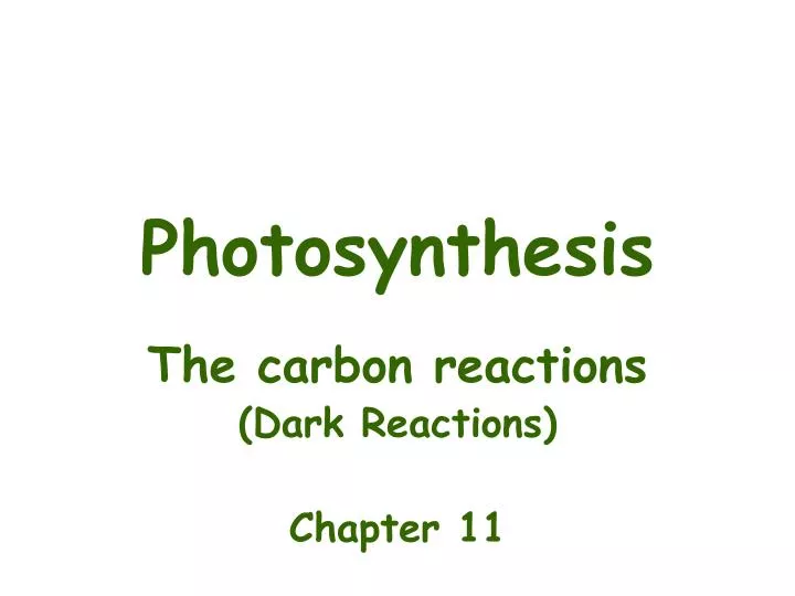 photosynthesis