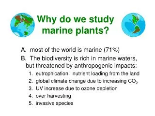 Why do we study marine plants?