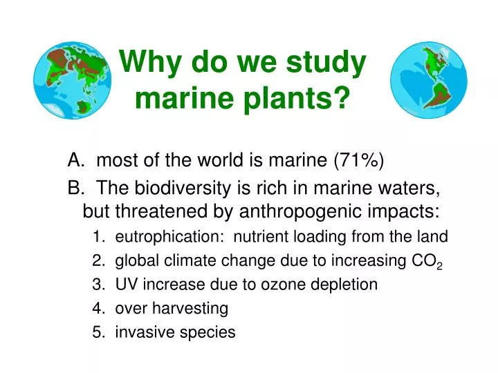 why do we study marine plants