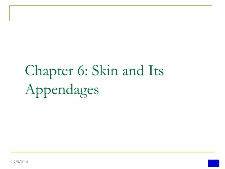 chapter 6 skin and its appendages
