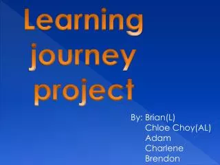 Learning journey project