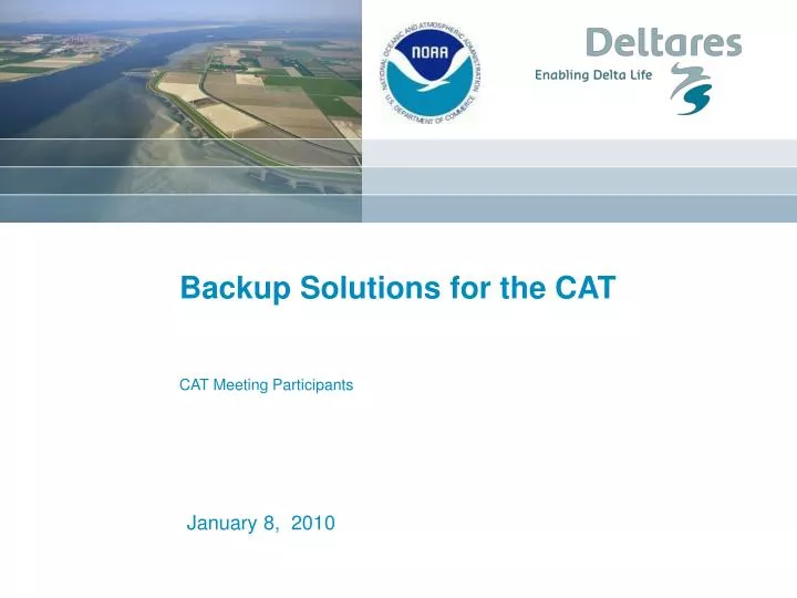 backup solutions for the cat