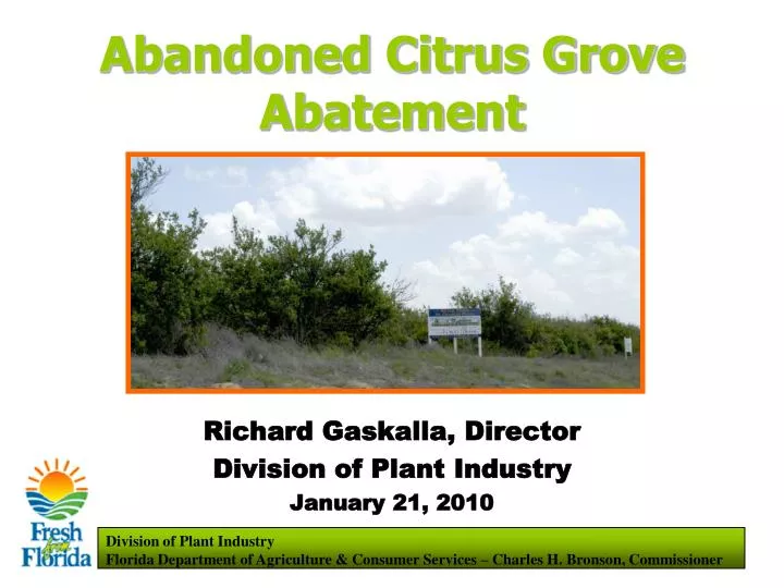 abandoned citrus grove abatement