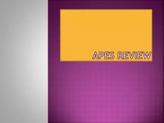 APES REVIEW