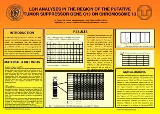 LOH ANALYSES IN THE REGION OF THE PUTATIVE TUMOR SUPPRESSOR GENE C13 ON CHROMOSOME 13