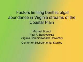 Why study benthic algae in streams?