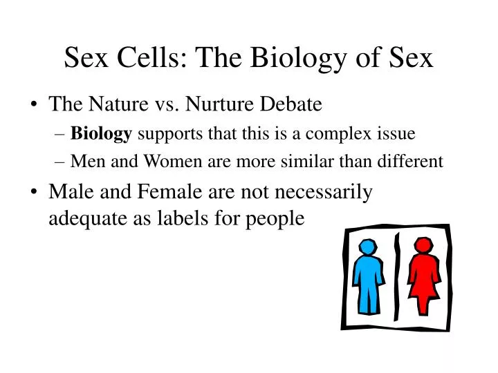 sex cells the biology of sex