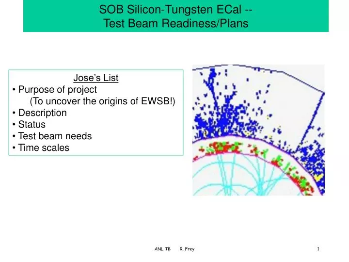 sob silicon tungsten ecal test beam readiness plans