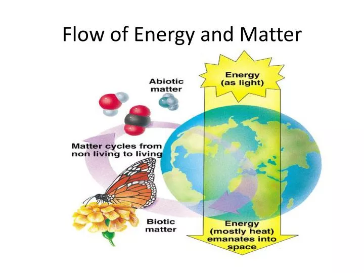 flow of energy and matter