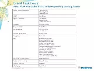 Brand Task Force Role: Work with Global Brand to develop/modify brand guidance