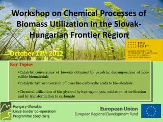 Workshop on Chemical Processes of Biomass Utilization in the Slovak-Hungarian Frontier Region