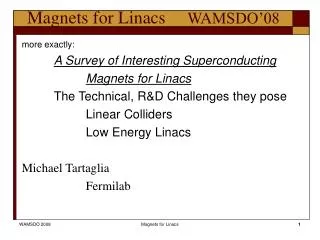 Magnets for Linacs	 WAMSDO’08