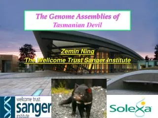 The Genome Assemblies of Tasmanian Devil