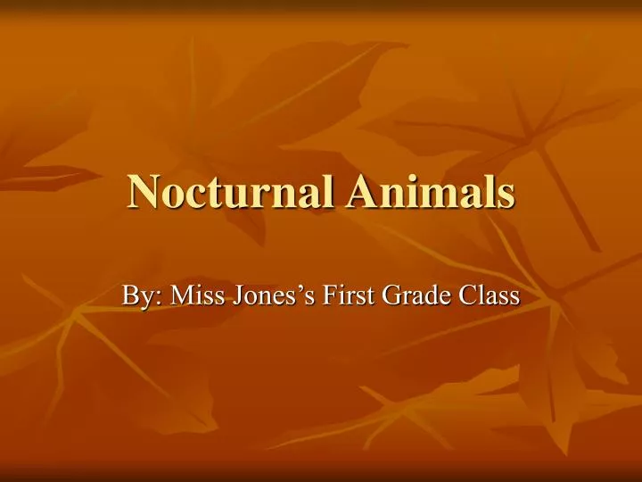 nocturnal animals