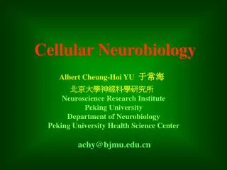 Cellular Neurobiology