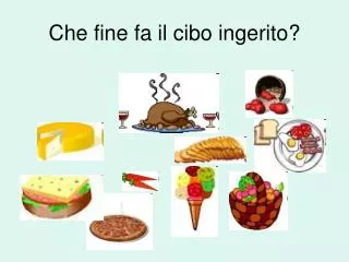 che fine fa il cibo ingerito