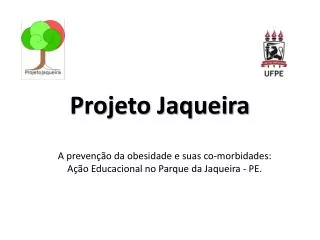 projeto jaqueira