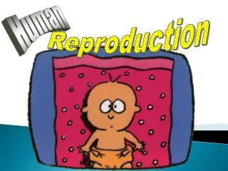 Reproduction