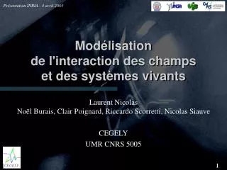 mod lisation de l interaction des champs et des syst mes vivants