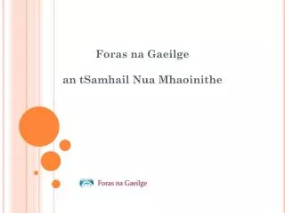 Foras na Gaeilge an tSamhail Nua Mhaoinithe