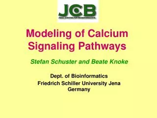 Modeling of Calcium Signaling Pathways