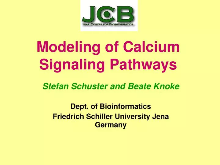 modeling of calcium signaling pathways