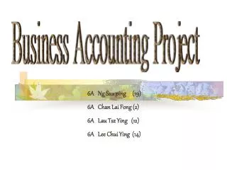 Business Accounting Project